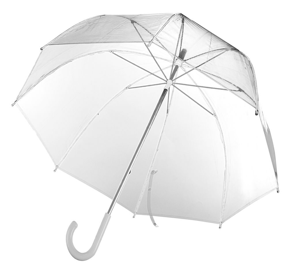 Прозрачный зонт Clear